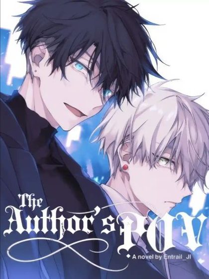 The Author's POV cover